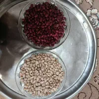 لوبیا چیتی وقرمز
