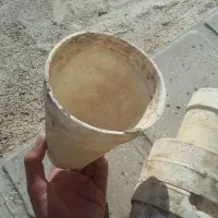 لیوان نشا