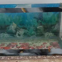 آکواریوم