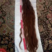 فروش موی طبیعی