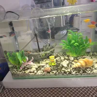 آکواریم با تمام تجهیزات