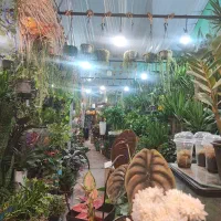 استخدام فروشنده در گلخانه