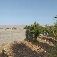 باغشهری(باغ شهری) کنتور آب و برق ۲۴ ساعته دارنگون|فروش زمین و ملک کلنگی|شیراز, تلخ داش|دیوار