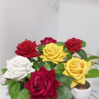 گلدون های گل ریز