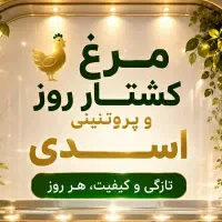نیازمند فروشنده خانوم