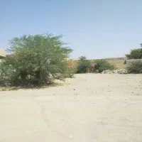 فروش تجاری سجادشهر بلوارنخل