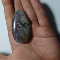 عقیق|جواهرات|مشهد, فارغ التحصیلان|دیوار