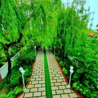 باغویلادوبلکس جنگلی سنددارمبله/شهرک اصیل پلاک۱جنگل|فروش خانه و ویلا|آلاشت, |دیوار