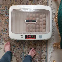 خ  انواع دستگاه جوجه کشی آرکام 50
