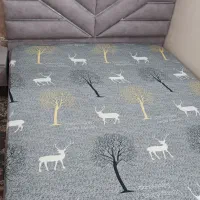 تخت خواب نو