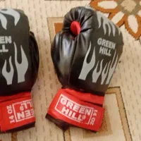 دو تا دستکش بوکس|تجهیزات ورزشی|ایلام, |دیوار