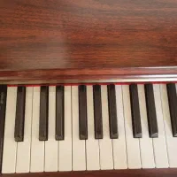 پیانوی دیجیتال|پیانو، کیبورد، آکاردئون|مشهد, رضاشهر|دیوار