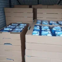 کارخانه و پخش قارچ پروتیین سفید|خوردنی و آشامیدنی|محمدشهر, سیدآباد|دیوار