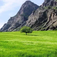 طبیعت گردی
