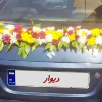 خدمات عروسی|خودرو اجاره‌ای|کرج, کوی کارمندان جنوبی|دیوار