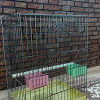 قفس کاسکویی