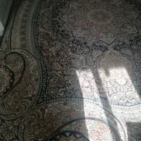 قالی 12متری|فرش|شیروان (خراسان), |دیوار