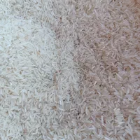 برنج  فجر سوزنی 90روزه|خوردنی و آشامیدنی|خان ببین, |دیوار