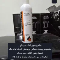 بهداشت حیوانات|لوازم جانبی حیوانات|شیراز, شهرک مهدیه|دیوار