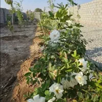 چهاردیواری-برای-تهاتر-با-موتور-با-مدارک-تکمیل-قسطی