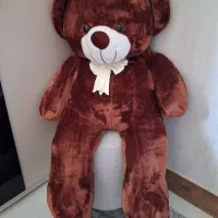 خرس در حدنو