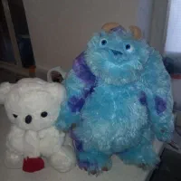 مخصوص ولنتاین