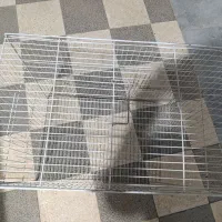 فروش قفس
