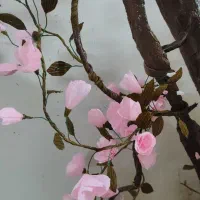 چند تا درختچه|گل مصنوعی|مشهد, راه آهن|دیوار