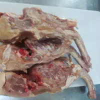 اسکلت مرغ با گردن و کمر کامل