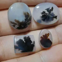 کلکسیون نگین شجرمصور معاوضه با انگشتر اوپال زبرجد|کلکسیون اشیاء عتیقه|زنجان, |دیوار