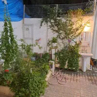 واوان میدان کمالیه کوچه یک شمالی