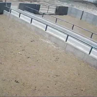 کارگر دامداری