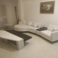 هم خونه خانم بی حاشیه