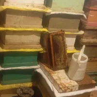 زنبور داری فوری|فروشگاه و مغازه|ماکو, |دیوار