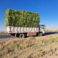 خوراک دام، کاه گندم و جو،یونجه پرسی و کوبیده|لوازم جانبی حیوانات|تهران, یافت آباد جنوبی|دیوار