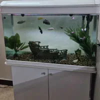 آکواریوم در حد نو