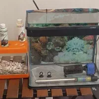 آکواریوم ماهیران شیشه خم با کل وسائل