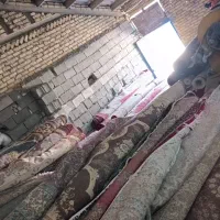 کار در قالیشویی مشتاق