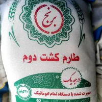 طارم هاشمی کشت دوم