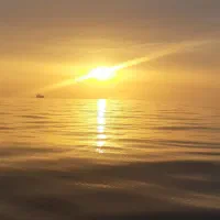 اجاره قایق ماهیگیری|ماهیگیری|بندر کنگان, |دیوار