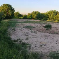 زمین-باغی-باسندقیمت-مناسب