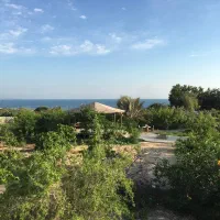 کارگر فنی و نیروی خدماتی شبانه روزی با محل اسکان