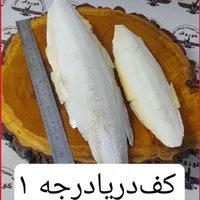 مجموعه کوروش عرضه کننده کف دریا درجه ۱