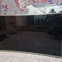 تلویزیون منحنی ۶۵ اینچ اصل سونی شکسته