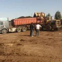 پخش کود گاوی گوسفندی خاک باغچه و..|خدمات باغبانی و درختکاری|کرج, کمالشهر|دیوار