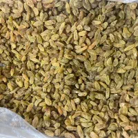 تخمه کدو آجیل چهار مغز خرما کشمش بادوم زمینی پخش|عمده‌فروشی|رباط‌کریم, نصیرشهر|دیوار