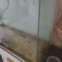 آکواریوم شیشه خم با وسایل