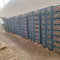 تامسون ساری سوپر بار سایز یک دست ۱۵ تن