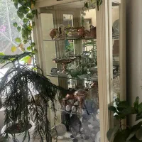 سرویس مبلمان و میزنهارخوری و بوفه|مبلمان خانگی و میز عسلی|گرگان, |دیوار