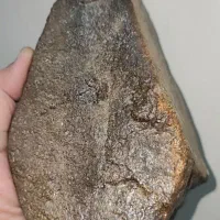 شب چراغ راف